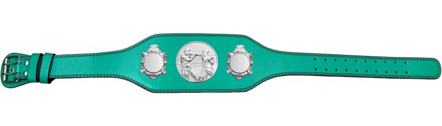BOXING CHAMPIONSHIP BELT-BUD003/S/BOXS-4 COLOURS